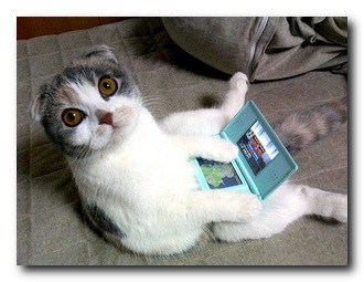 cat DS nintendo